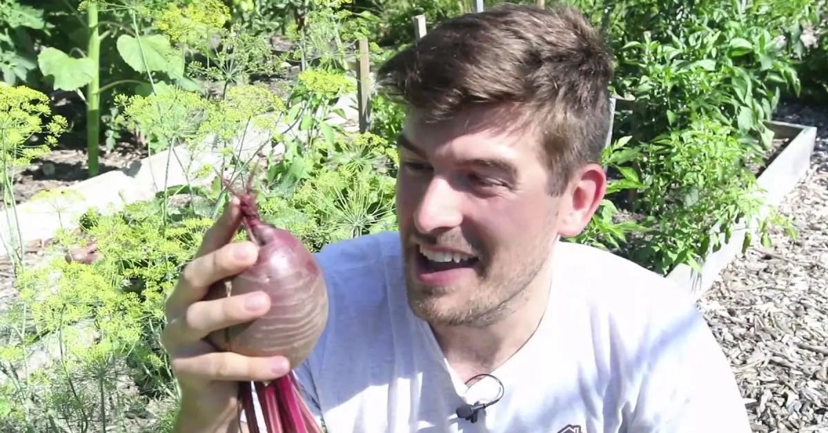beets