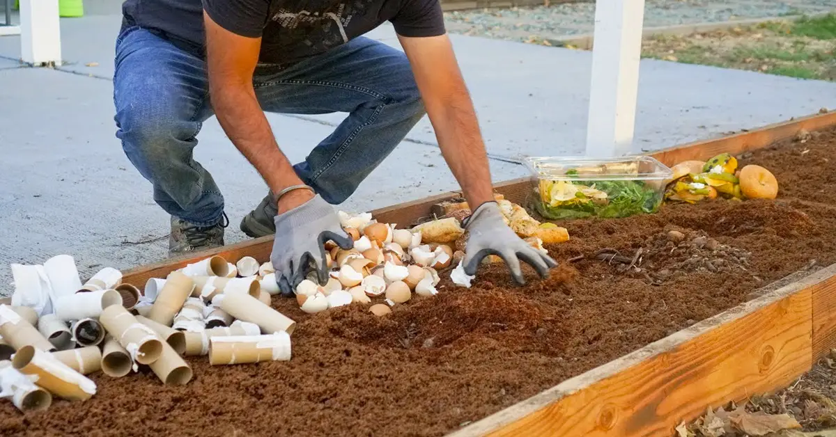 bury scraps in garden