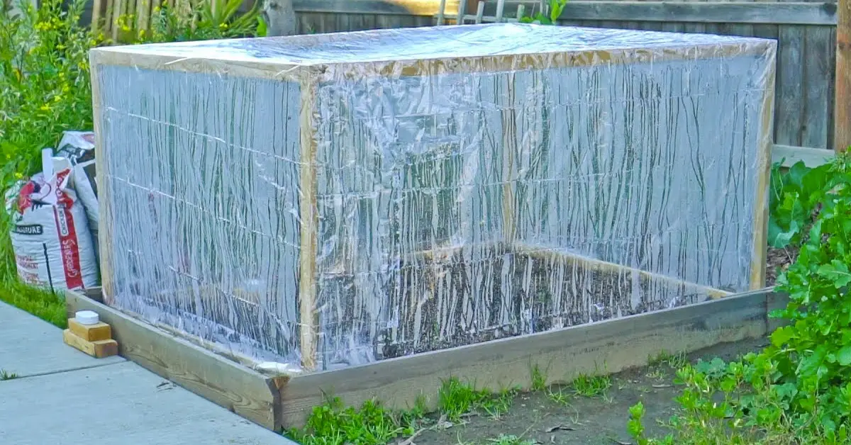 cheap greenhouse