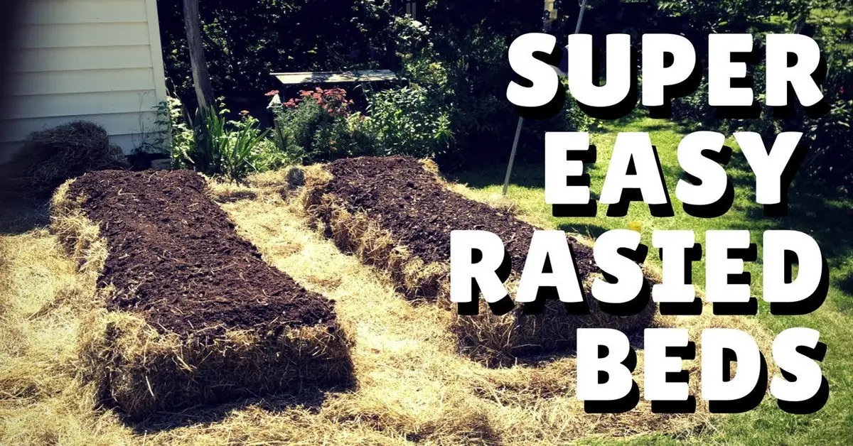 easy raised beds