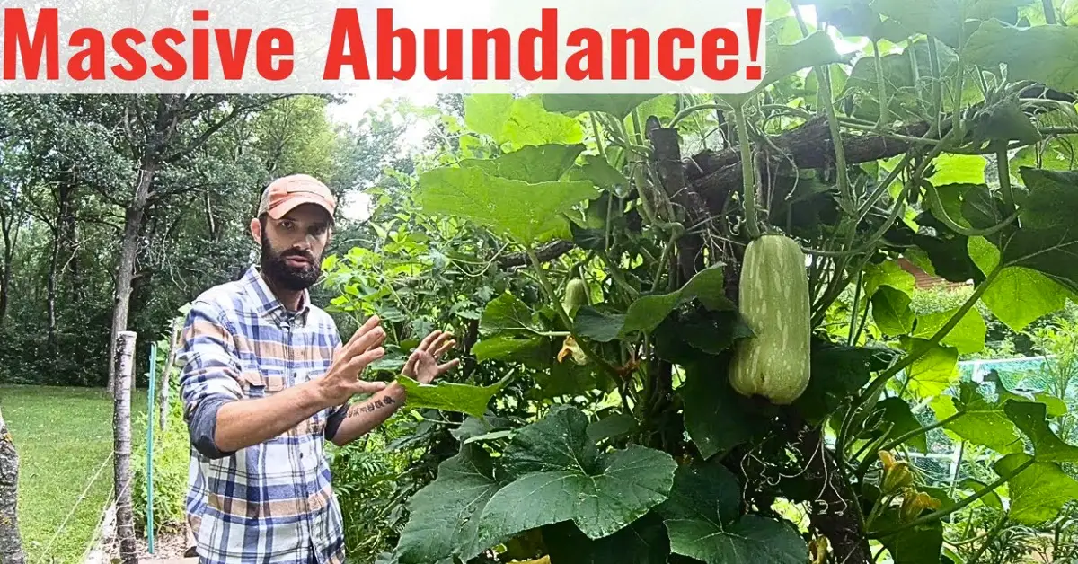 garden feeds family