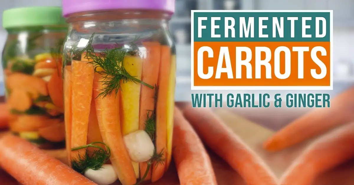 fermented carrots