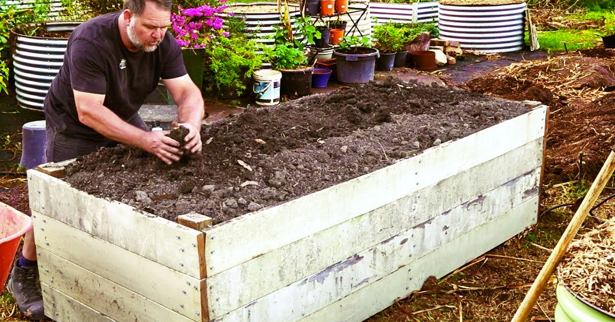 fill raised beds