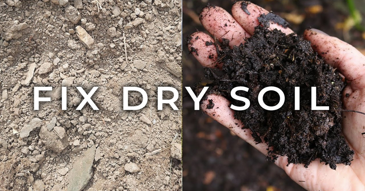 fix dry soil
