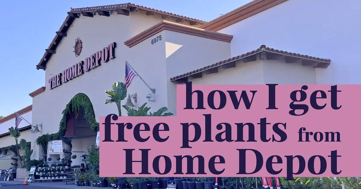 free plants