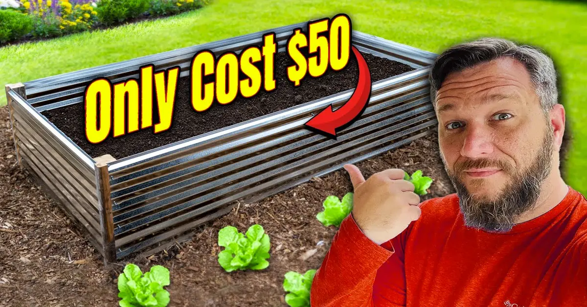 Hack to Build a Stronger 4x8 Raised Garden Bed for Only $50