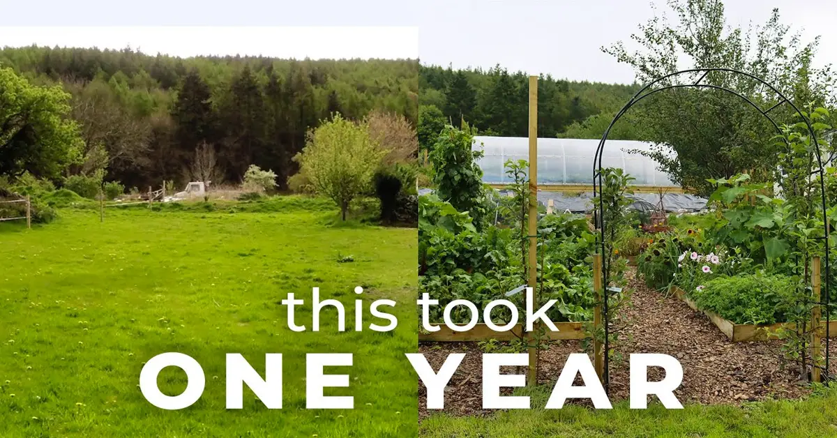 garden transformation