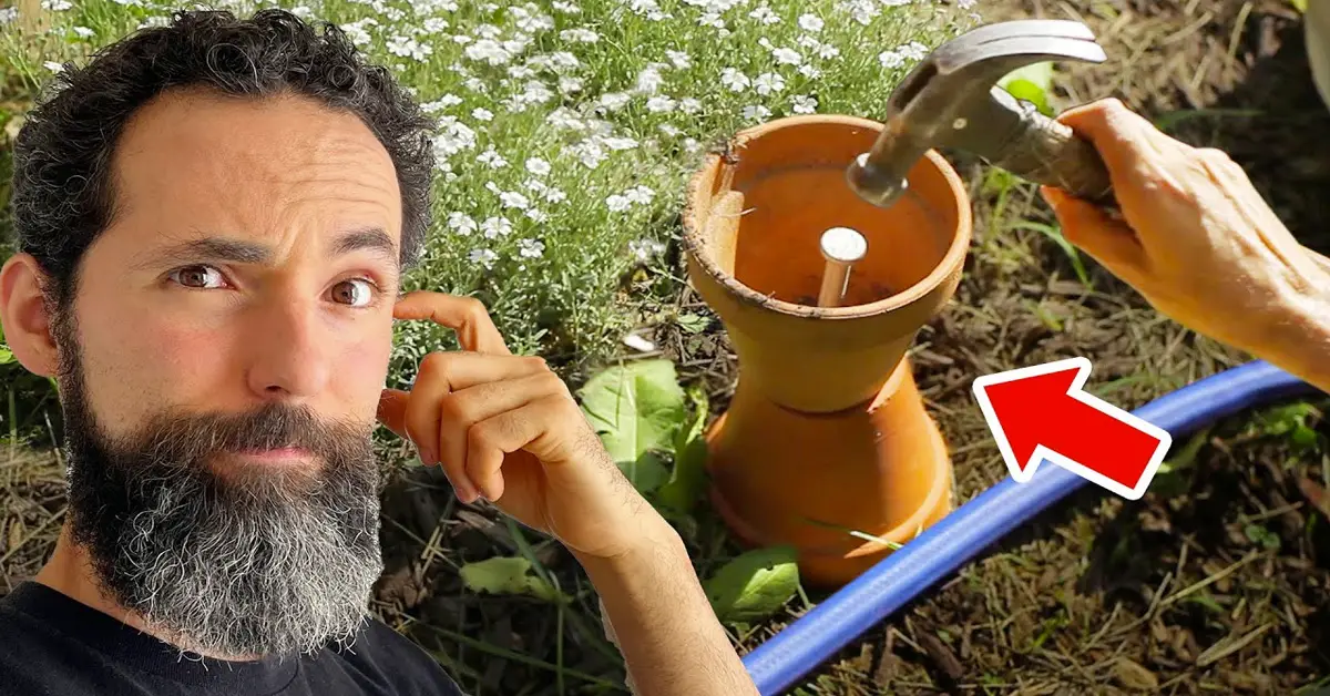 gardening hacks