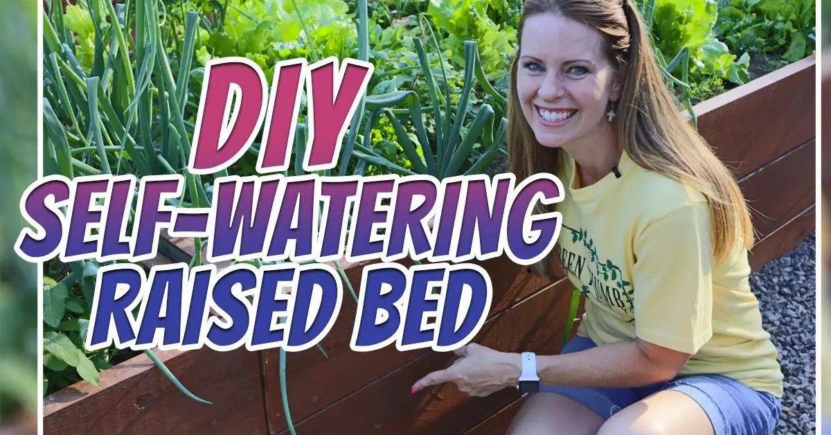 raised beds